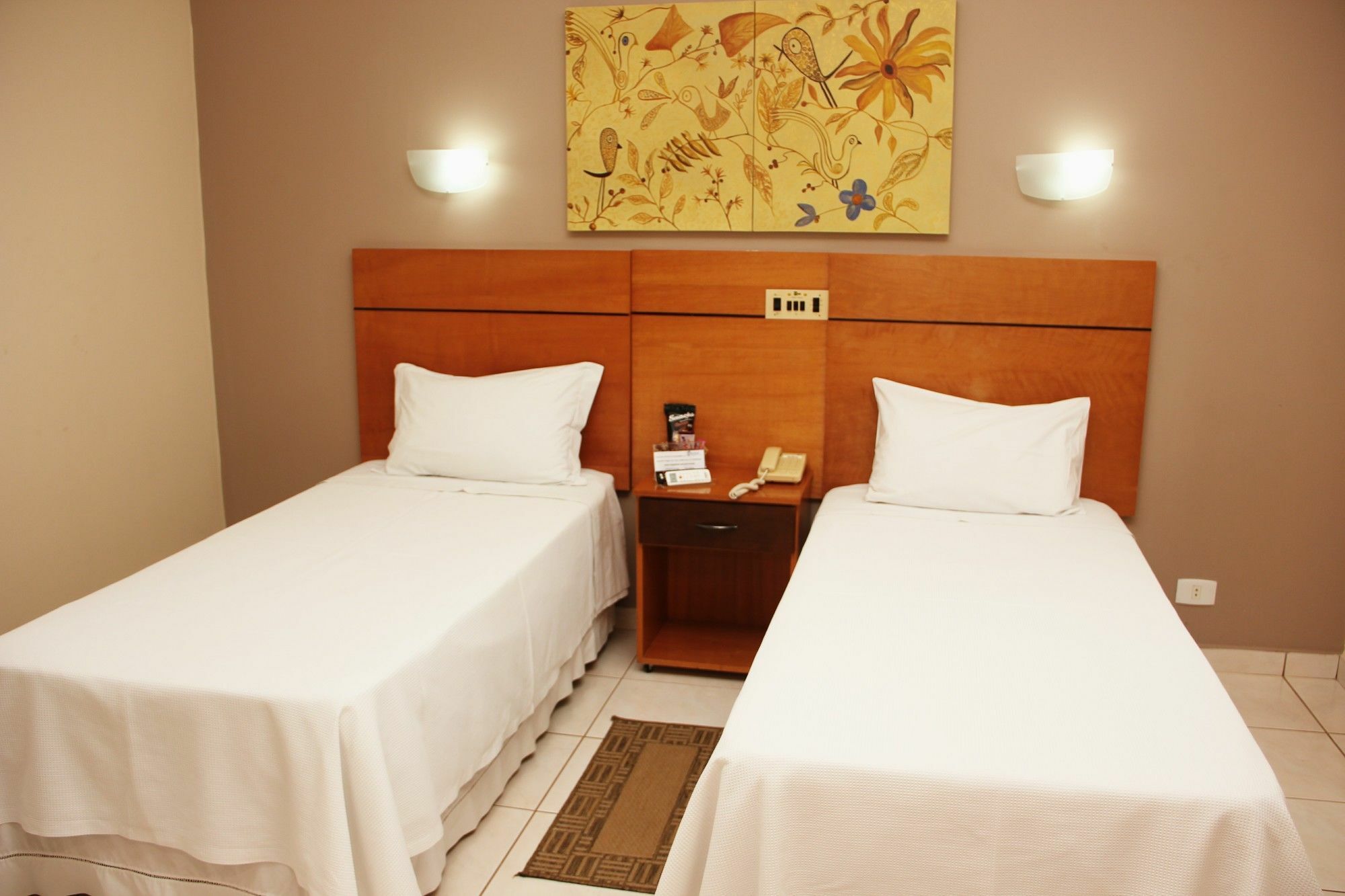 Real Palace Hotel Três Lagoas Εξωτερικό φωτογραφία